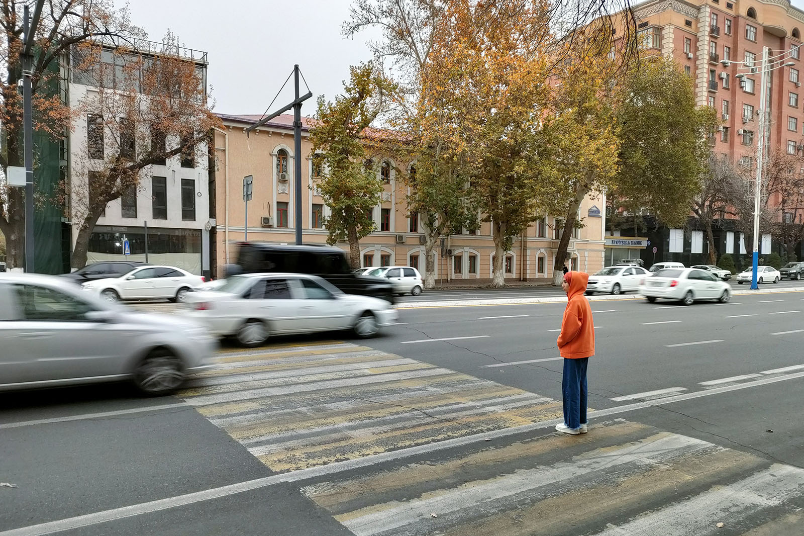 写真：現地の様子